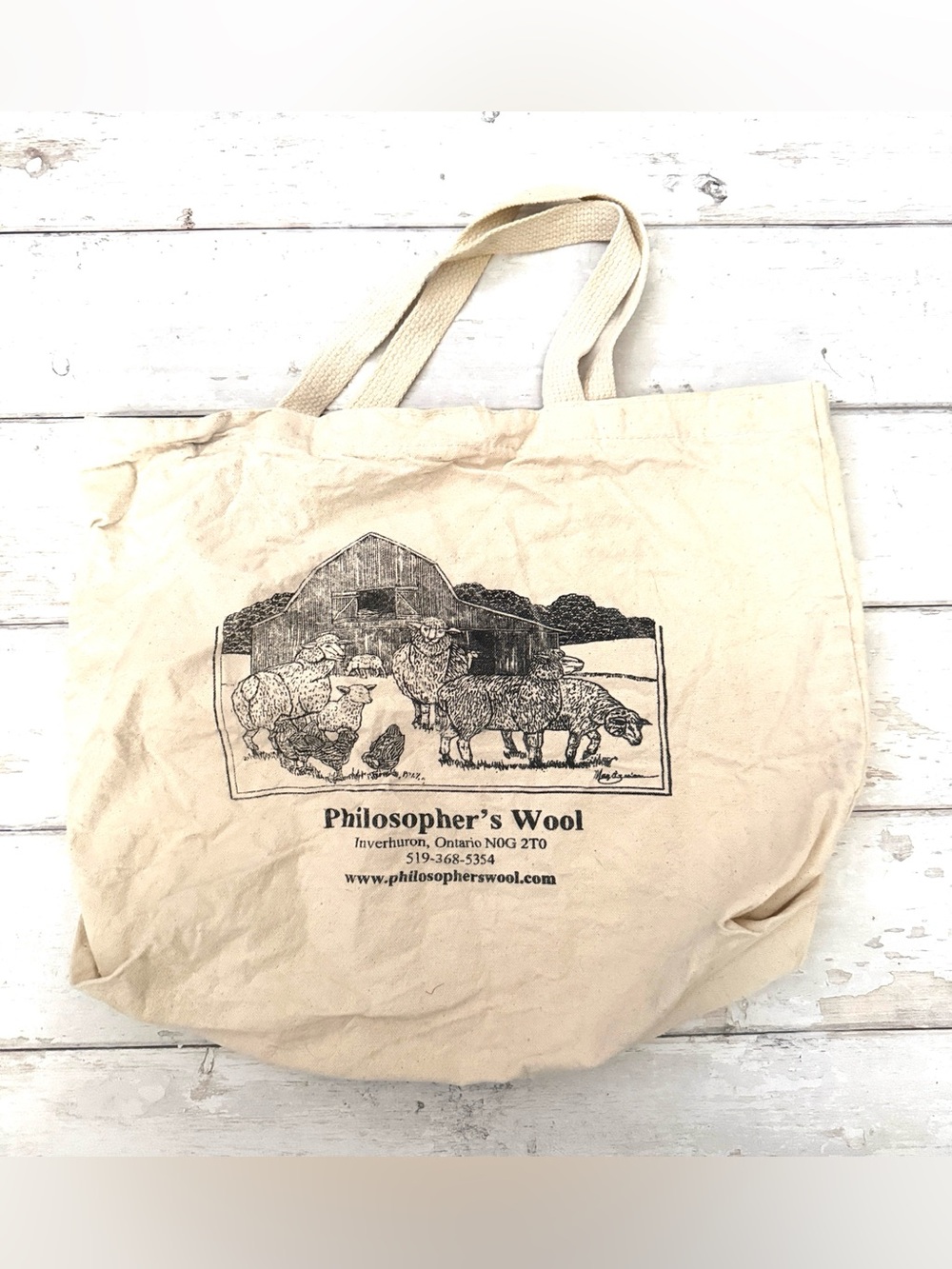 Philosophers Wool Extra Large 17in x 14in Canvas Versatile Tote Bag